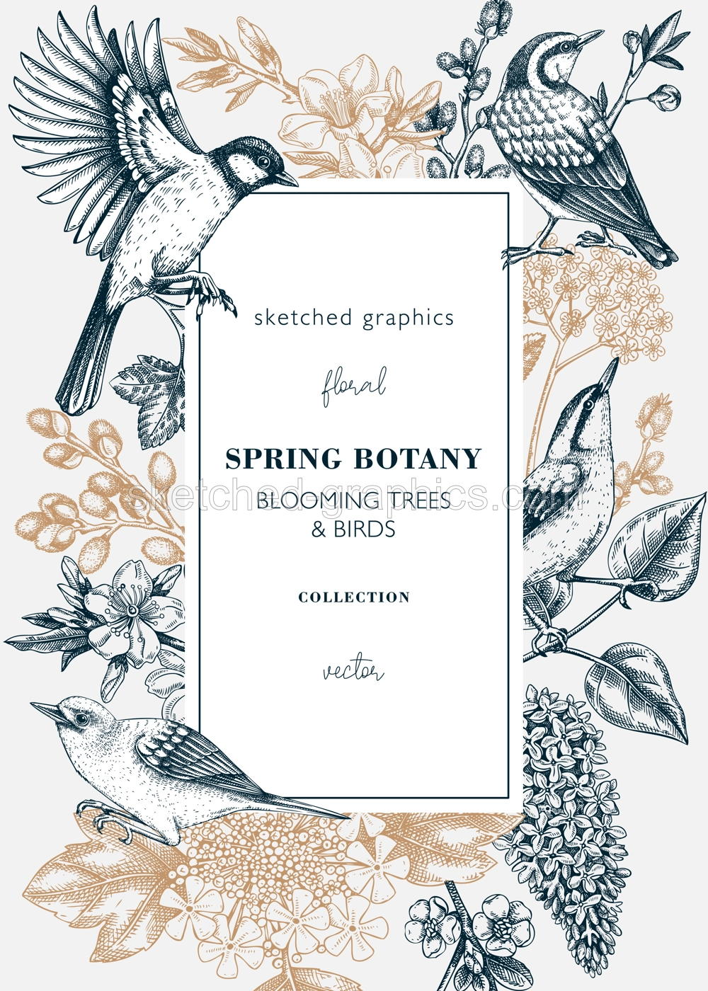 Spring garden card or invitation template. Vintage frame designs with birds, flowers, leaves and blooming tree branches. Almond, willow, rowan, willow, lilac, cherry blossom floral sketches for print Illustration